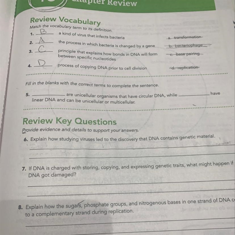 Numbers 5, 6, n 7 sorry I’m just not good in bio-example-1