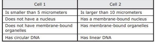 Some students used information they gathered from lab investigations to prepare a-example-1