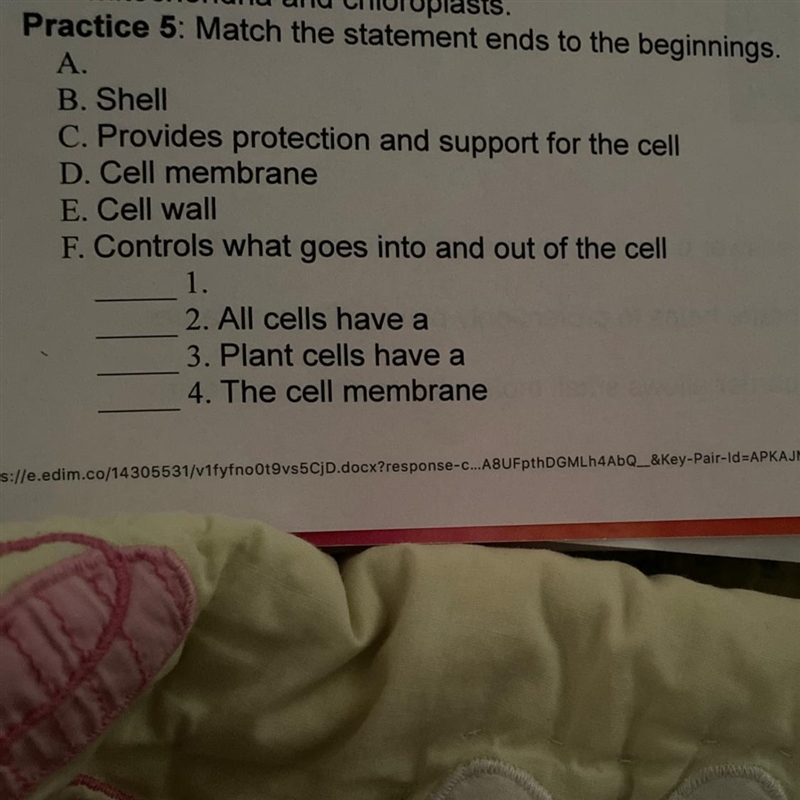 Practice 5: Match the statement ends to the beginnings. B. Shell C. Provides protection-example-1