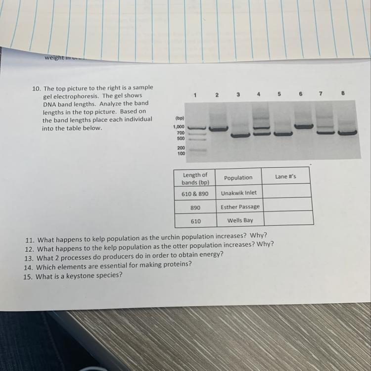 Questions 10-15 ? Please and thankyou.-example-1