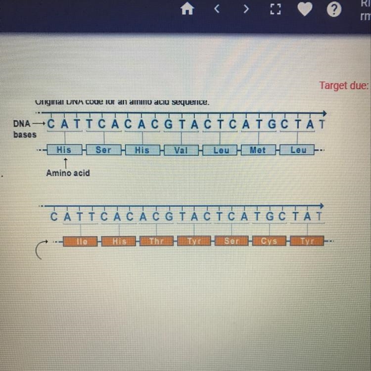 The mutation below is best described as a A. nonsense mutation B. missense mutation-example-1