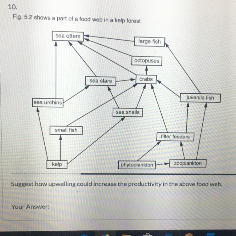 URGENT !! Suggest how upwelling could increase the productivity in the above food-example-1