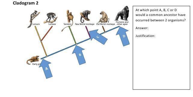 Need help with this biology problem-example-1