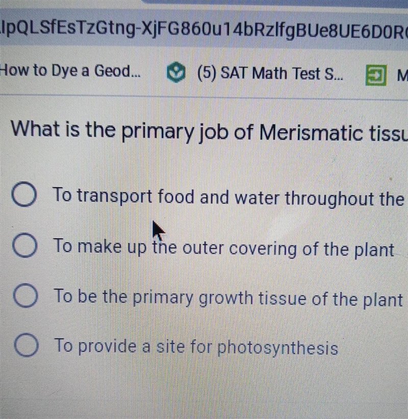 What is the primary job of Merismatic tissue?​-example-1