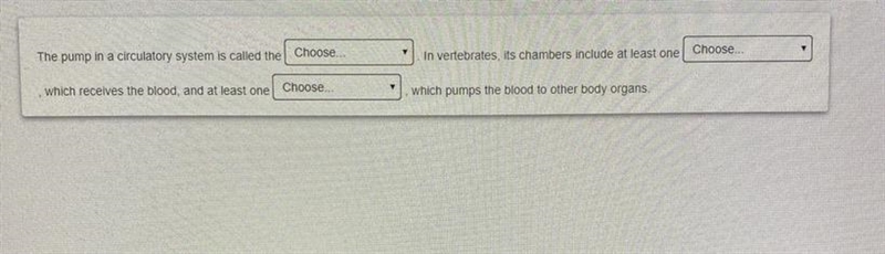 The answer choices for the first blank is: A. capillary B. heart C. lungs D. aorta-example-1