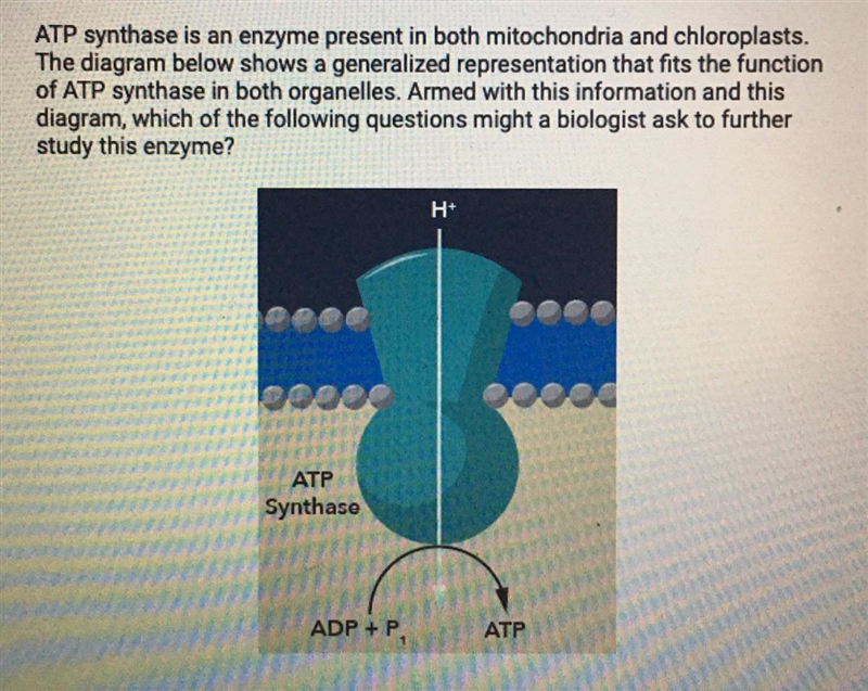 HELP! NOW! A. What is the chemical product that represents free energy captured during-example-1