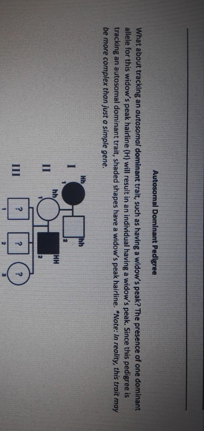 23. How many dominant alleles does an Individual need in order to have the autosomal-example-1