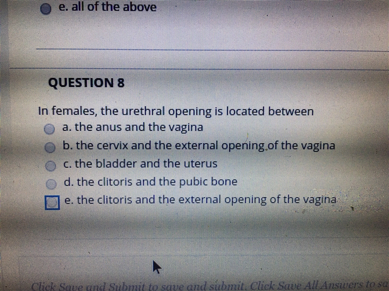 In females, the urethral opening is located between ?-example-1