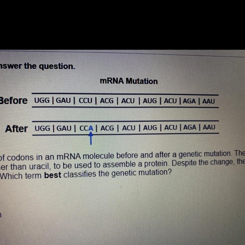 The diagram shows a series of codons in an mRNA molecule before and after a genetic-example-1