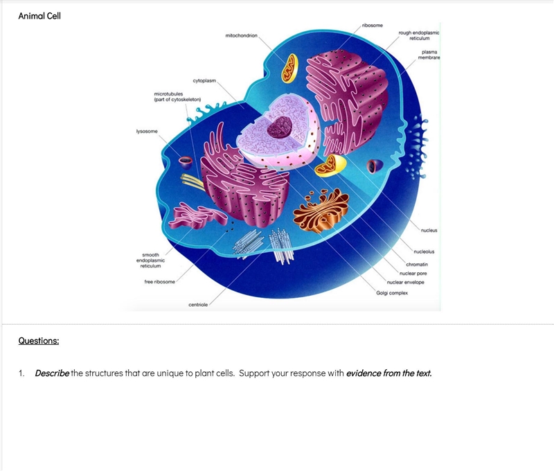 Help Please, Images Attached. Do not use for points, actually answer !-example-2