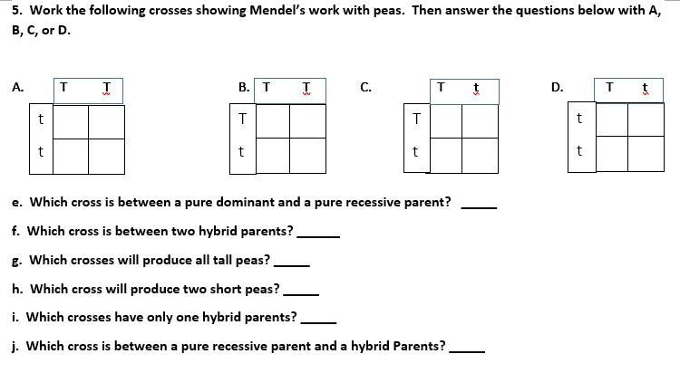 Pls help this one l think is hard but l give more point(Don't miss around else report-example-1