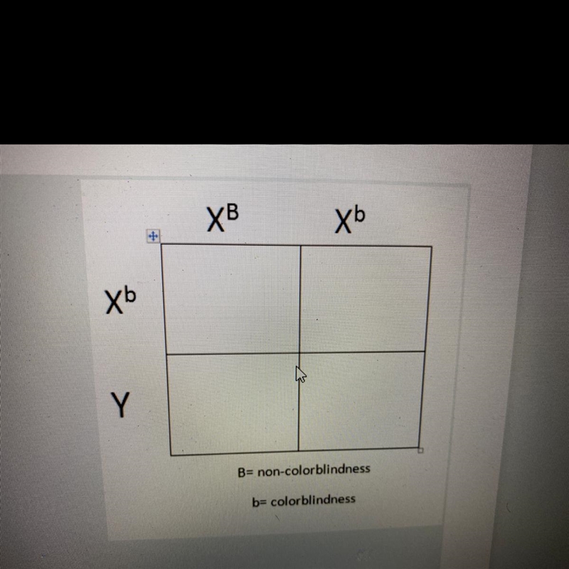 Which parent is the colorblind in question 4? A Dad (XY) B Mom (XX) C Neither-example-1