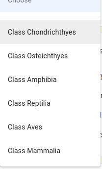 Which class of Phylum Chordata includes animals with feathers and porous, lightweight-example-1