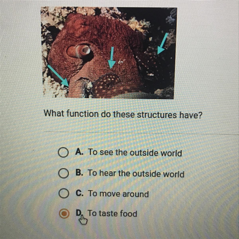 Look at the structures in the picture below. What function do these structures have-example-1