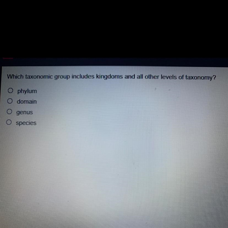 What’s this answer to this ?-example-1