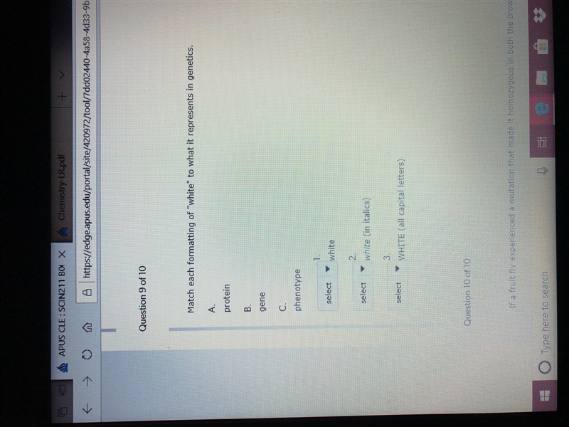 Match each formatting of “white” to what it represents in genetics.-example-1