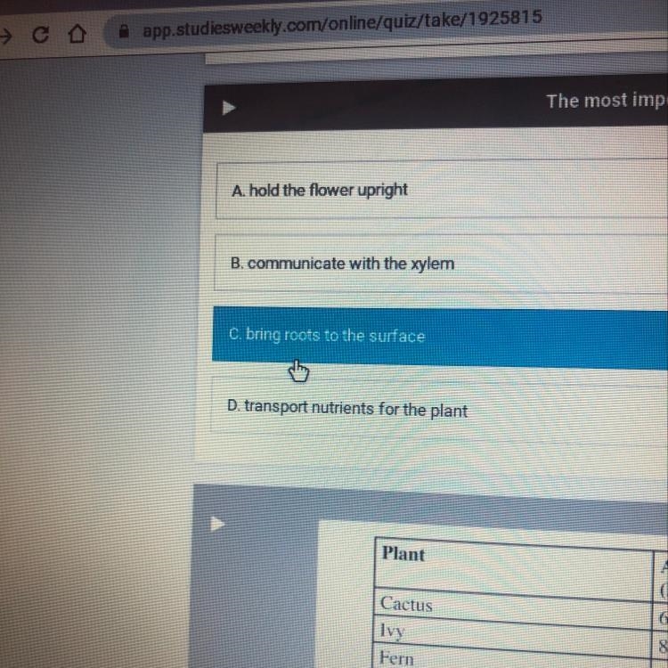 The most important of a vascular plant stem is to(blank)-example-1