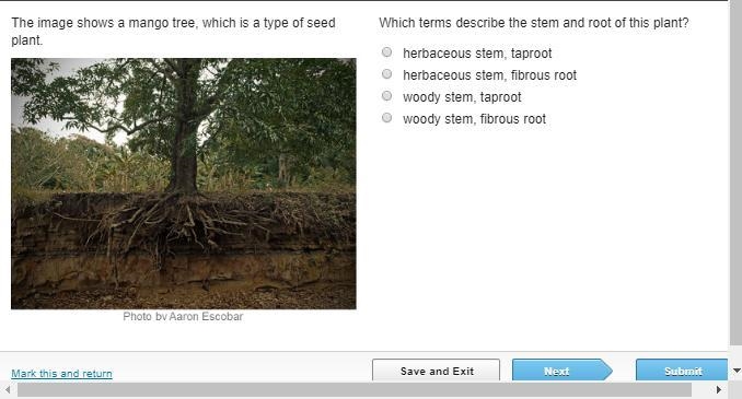 Could you help me with this question-example-1