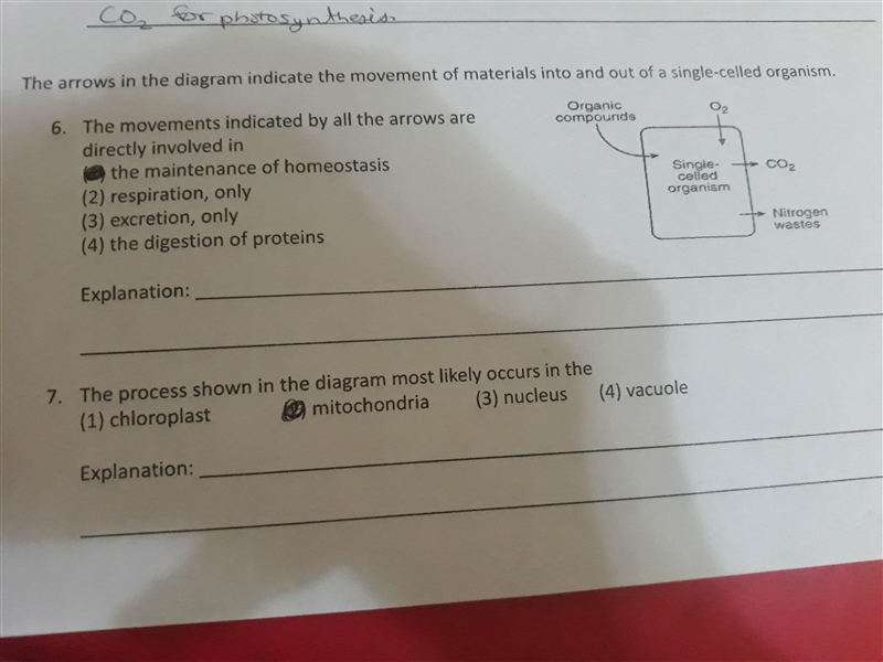 Can someone plz give me an explanation on why #6 is correct? And also is #7 correct-example-1