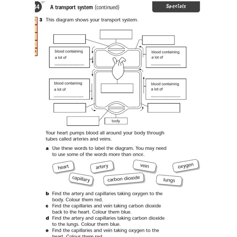 Can someone help i don’t understand-example-1