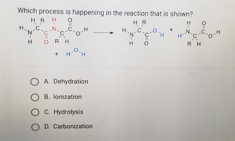 Anyone know the answer ?​-example-1