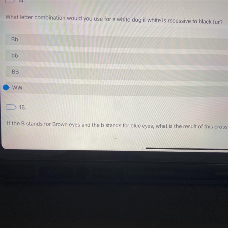 What letter combination would you use for a white dog if white is recessive to Black-example-1