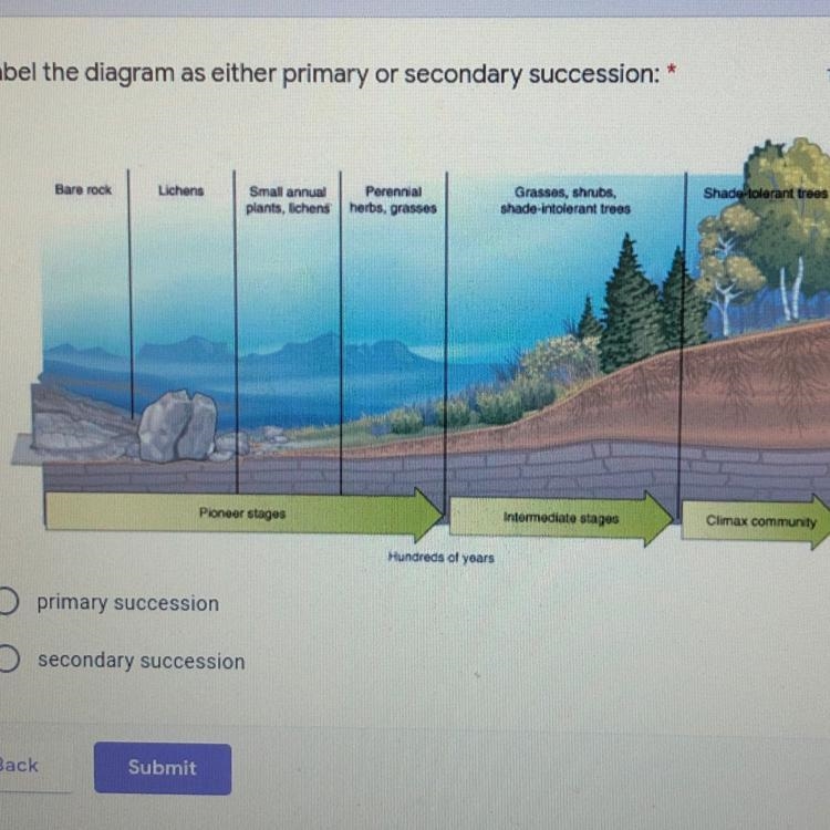 Is that primary or secondary succession?-example-1