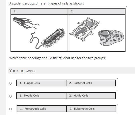 A student groups different types of cells as shown. Which table headings should the-example-1