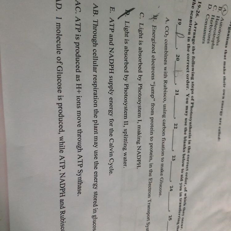 Order of photosynthesis-example-1