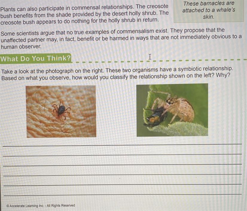 How would you classify the relation shown on the left?-example-1