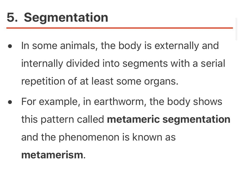 What is segmentation of the body in your own words ? ;-;-example-1