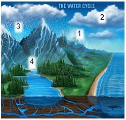 Which point(s) in the water cycle below best illustrate(s) water changing to a gas-example-1