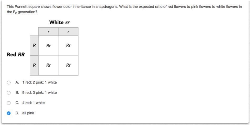 Please help! *Note the answer is not D-example-1