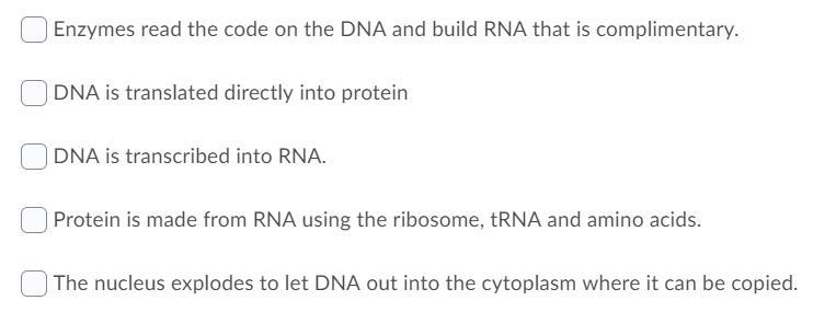 What happens during transcription? Select all that apply. please help asap!-example-1