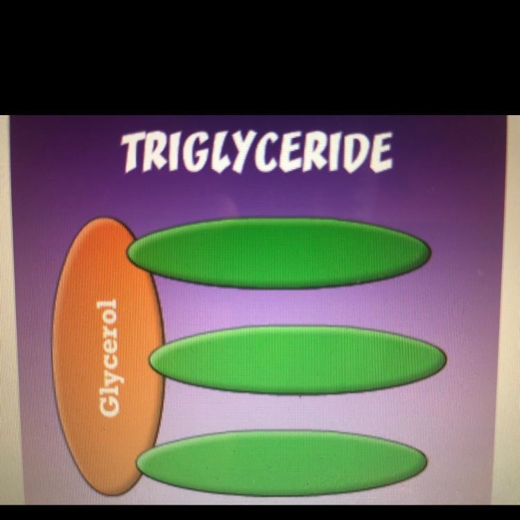 In the triglyceride molecule shown below what are the three molecules attached to-example-1