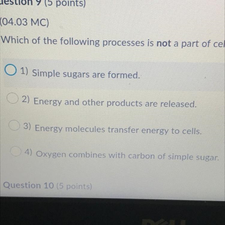 Which of the following processes is not apart of cellular respiration-example-1