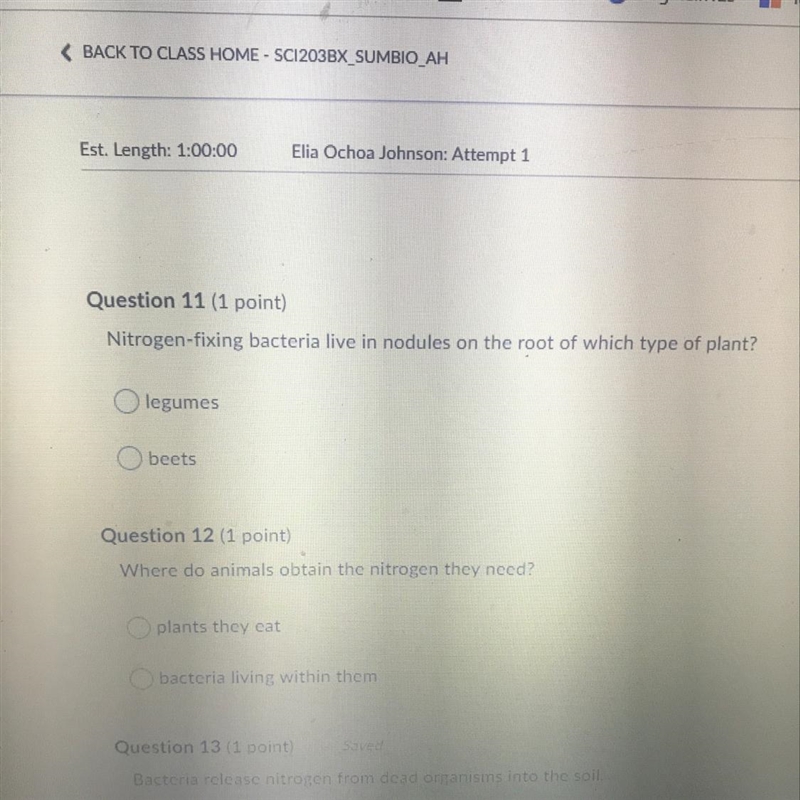 Question 12 (1 point) Where do animals obtain the nitrogen they need? plants they-example-1