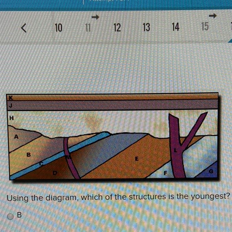 Using the diagram, which of the structures is the youngest? B C D M-example-1