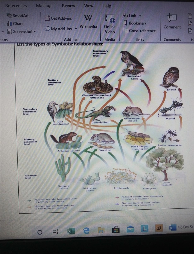 How many food chains are in this food web​-example-1