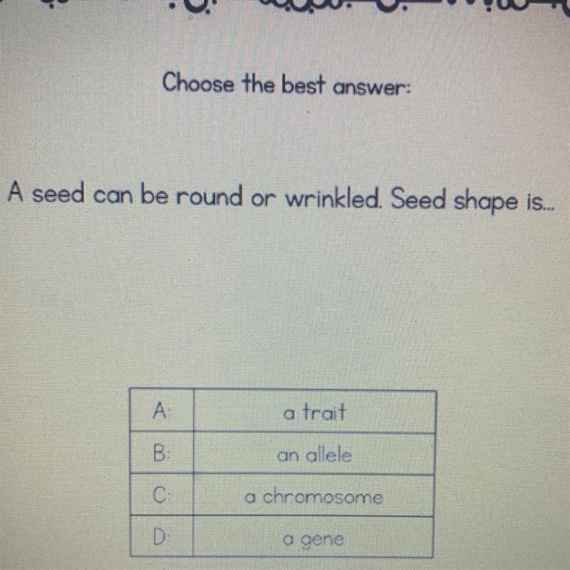 A seed can be round or wrinkled. Seed shape is... A. A trait B. An allele C. A chromosome-example-1