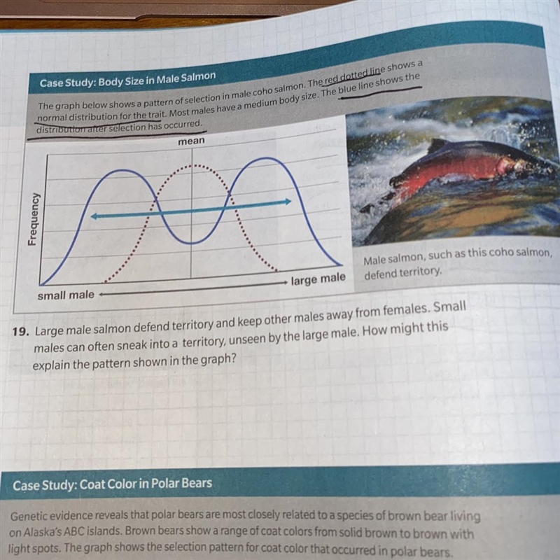 Red dotted line shows a normal distribution Blue line shows the distribution after-example-1