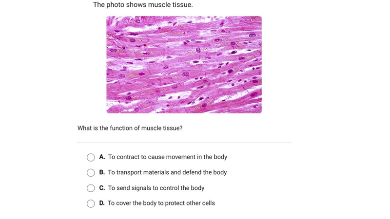 Help please! this is science :)-example-1