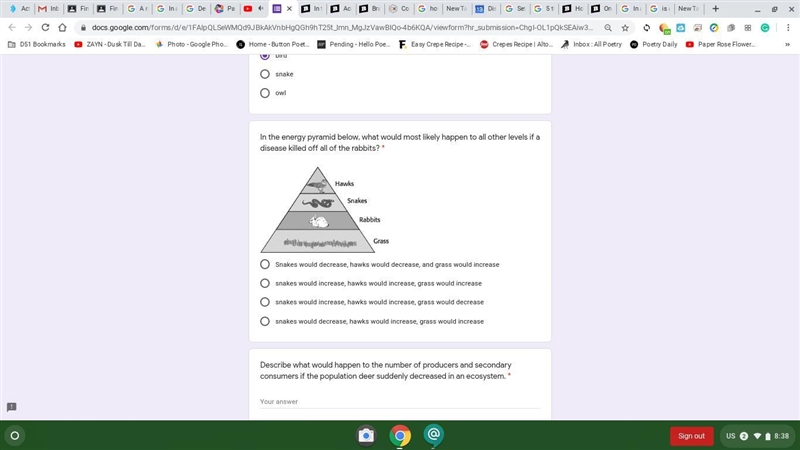 In the energy pyramid below, what would most likely happen to all other levels if-example-1