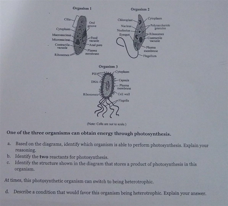 Hi, can someone help me with questions C and D?​-example-1