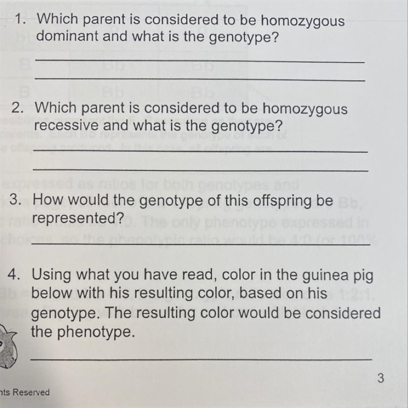 Answer these questions please-example-1