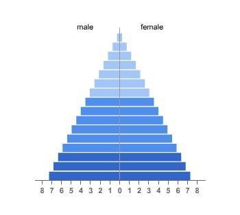 HELLLPPPPPPPPP!! Which prediction is true based on this population pyramid? The population-example-1