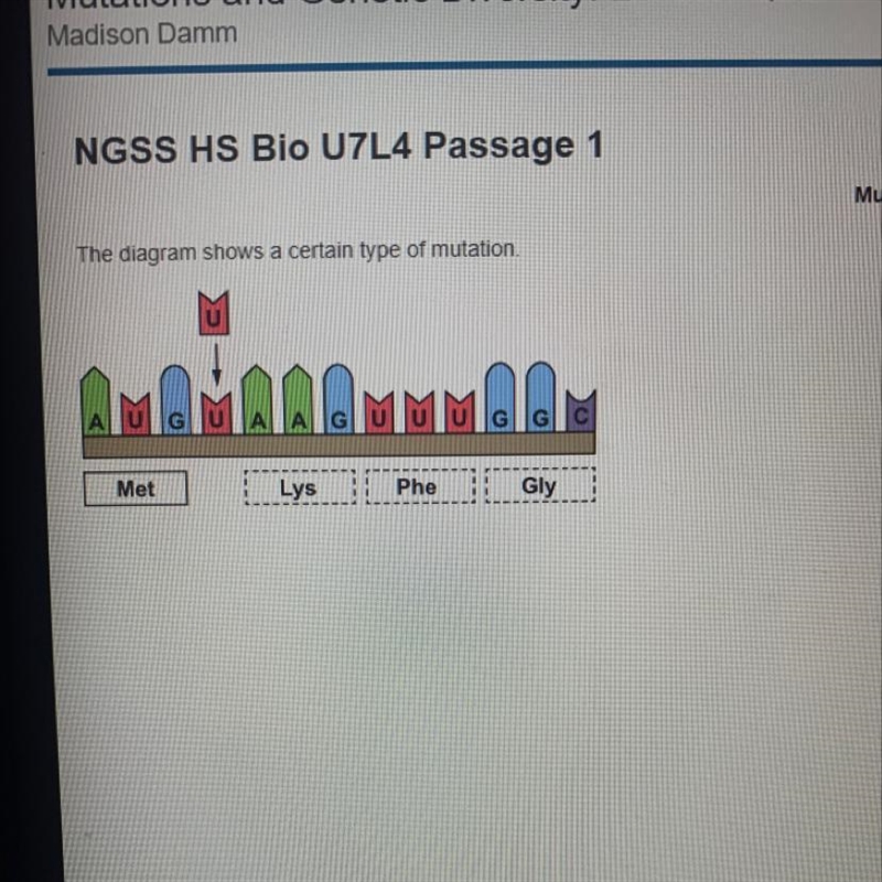 What type of mutation is shown in the diagram-example-1