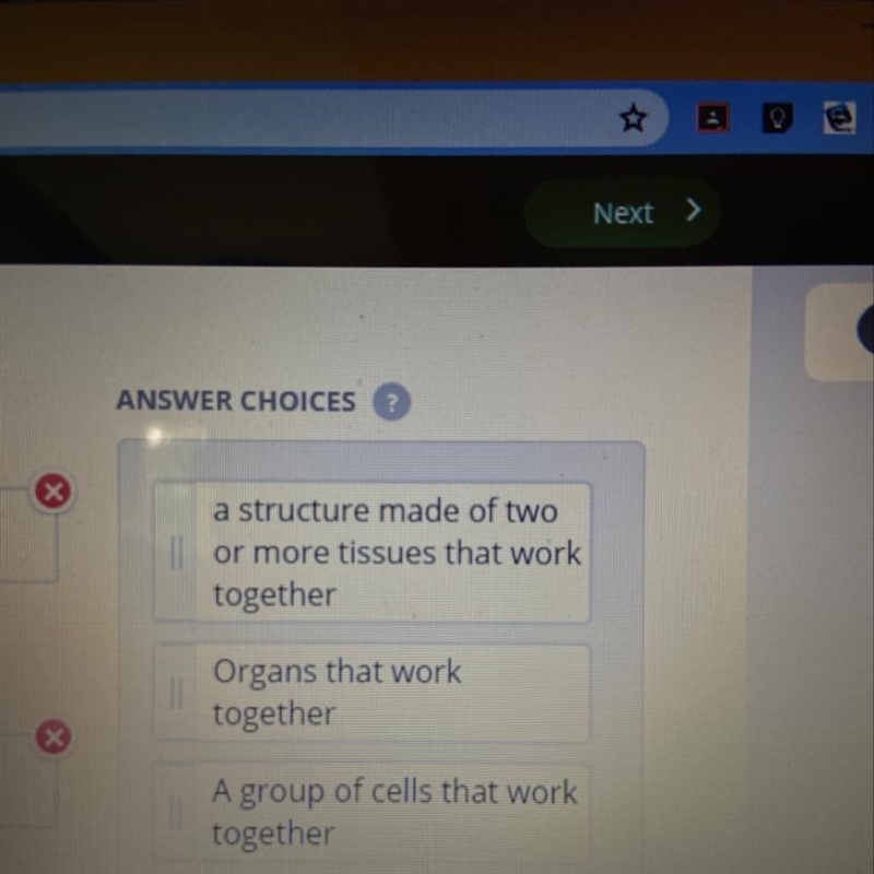 Which ones goes with organ,organ system, and tissue-example-1