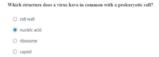 Which structure does a virus have in common with a prokaryotic cell?-example-1