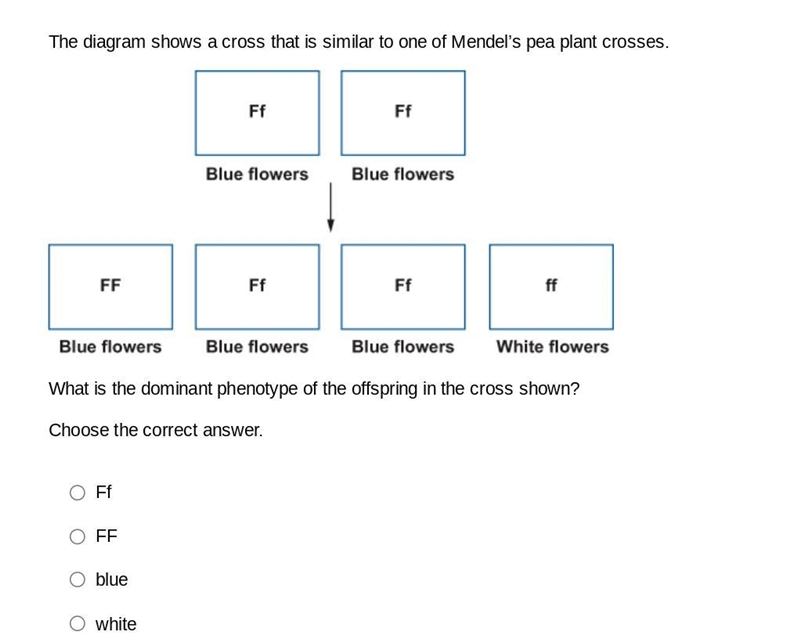 Need help question is in the pic.-example-1